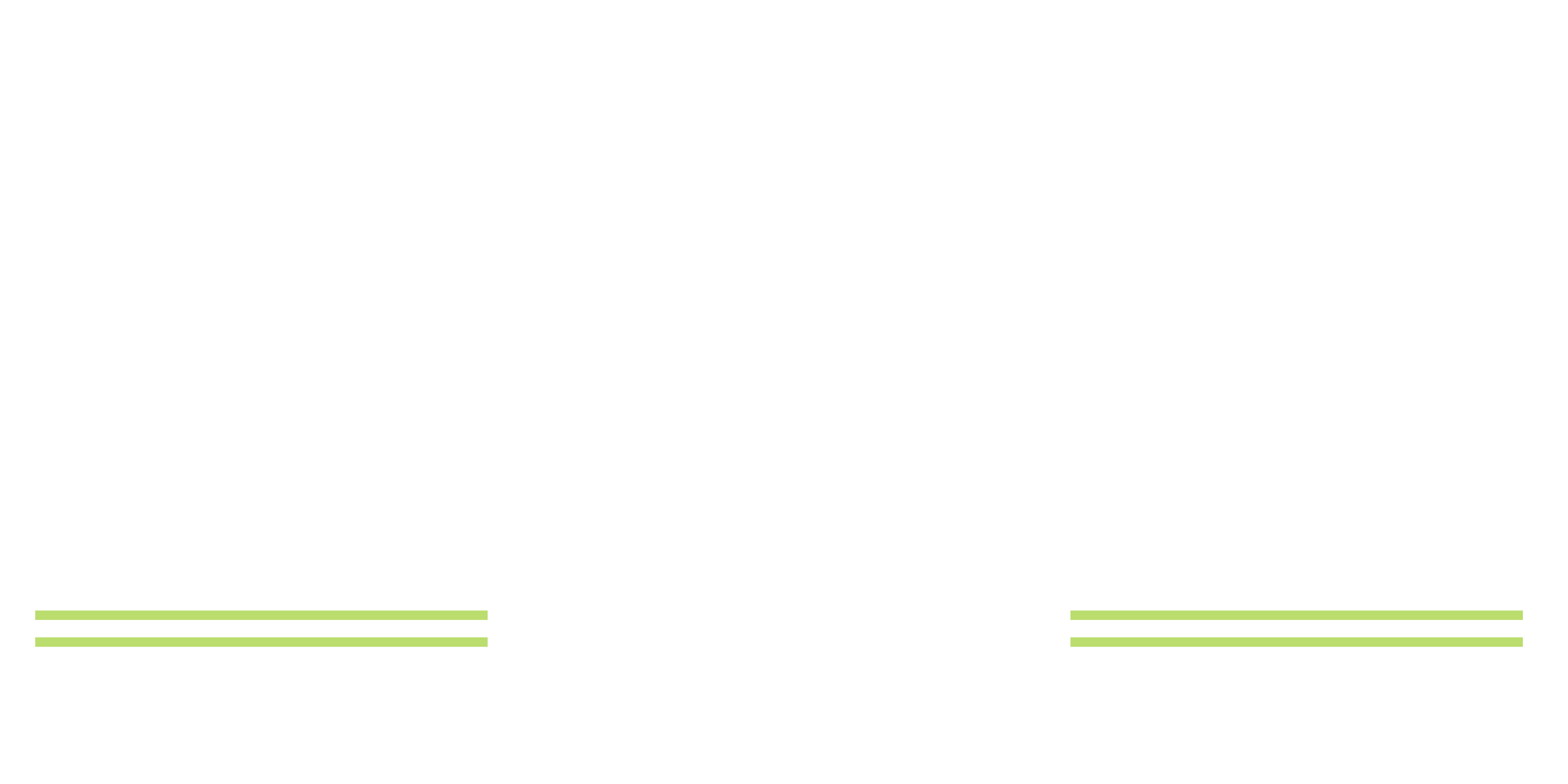 City Park Management